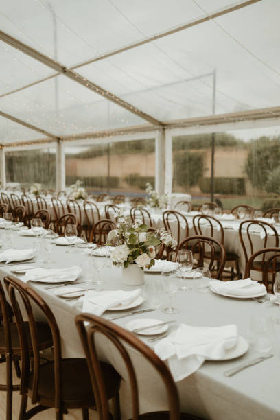 istock 2023 Wedding decoration with long tables and green Australian natives 1454070103