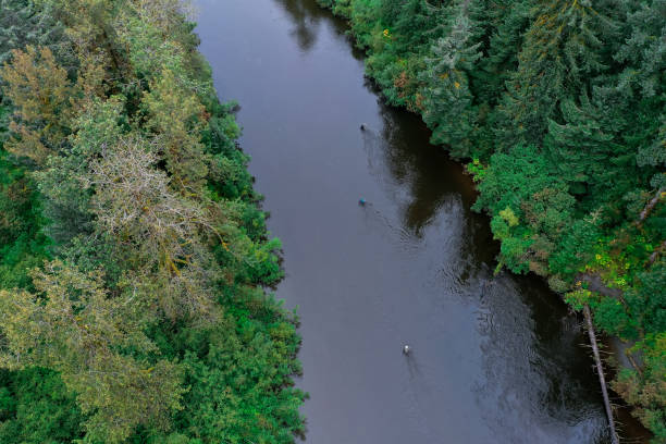 istock People in river fish for salmon on adventure in forest wilderness 1454070147