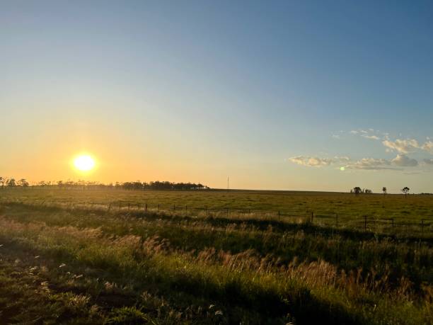 istock Golden hour on the road 1454071336
