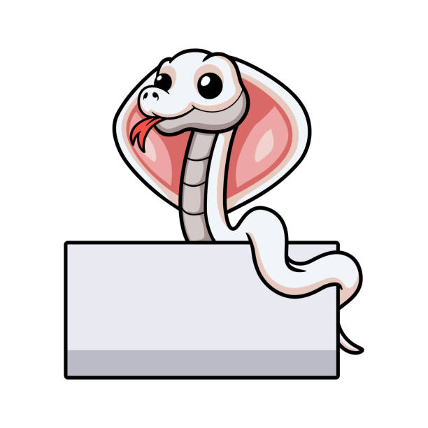 śliczna kreskówka węża kobry z pustym znakiem - rat snake illustrations stock illustrations
