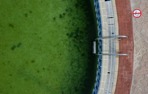 Drone point of view of a Deserted swimming pool. Poll lader green dirty water Drone point of view of an abandoned swimming pool. Poll lader green dirty water baseball rundown stock pictures, royalty-free photos & images