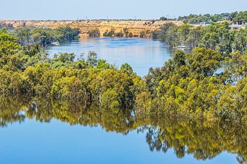 View across the rising floodwaters of the Murray River to the town of Swan Reach in South Australia. Dec 31, 2022. The calm water and reflections of the floodplain in the foreground contrasts with the fast flowing current of the main river in the background. The once-busy ferry across the river is closed necessitating long detours for residents and visitors.