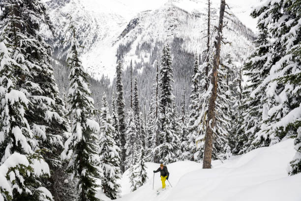 istock Backcountry snowboarder ascending 1454078508