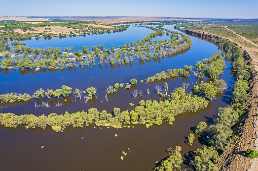 Aerial view of the flooding River Murray and floodplains at Swan Reach in South Australia: Dec 31, 2022. The main channel of the river is in centre frame. The floodwaters have submerged a treelined access road  leading the inundated holiday shacks. Dead trees mark the formerly dry floodplain.  Green irrigated farmland can be seen on the river bank beyond the floodplain with cliff and two-lane country highway on right of frame.