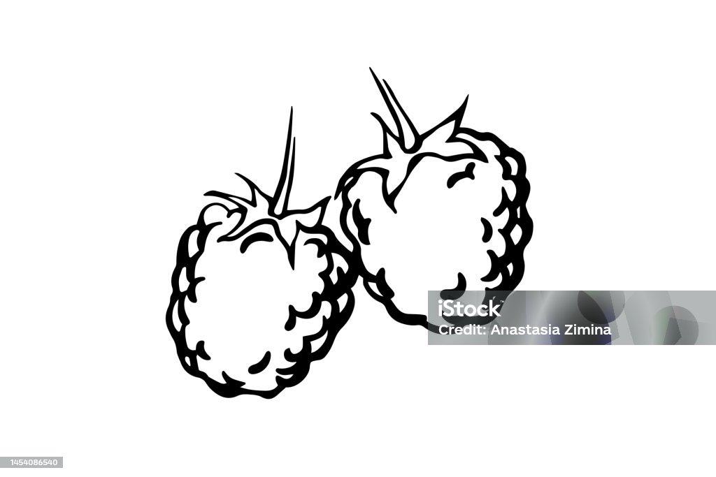 Raspberry Shape Drawing Raspberry Drawing Stock Illustration - Download Image Now - Art, Berry ...