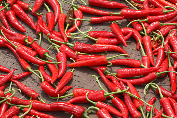istock Red peppers laying in the sun to dry 1454087412