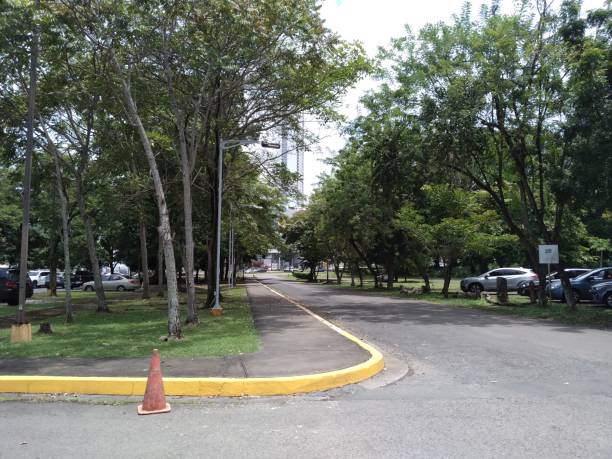 istock street surrounded by big trees 1454093154
