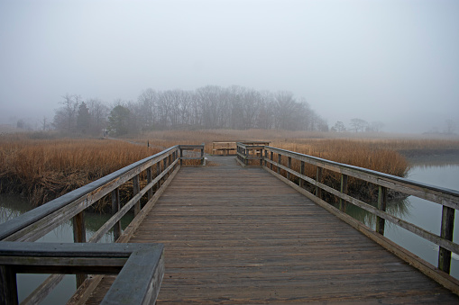 A foggy morning at the crabbing bridge at Perrine Road trail in Cheesequake State Park, Matawan, New Jersey