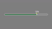 Progress Pointer Green Progress Bar Loading Bar Or Charge Bar Percent Progress And ...
