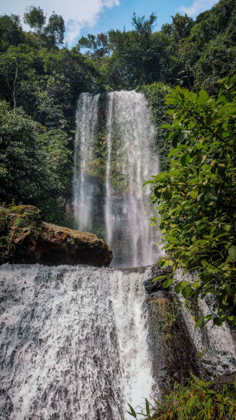 istock beautiful waterfall in the middle of forest 1454103125