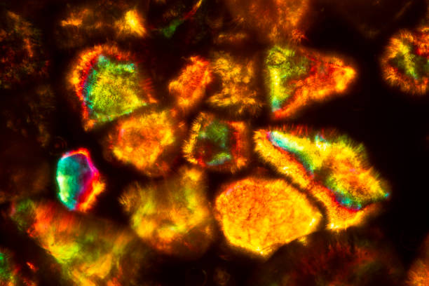 istock Abstract micrograph of sand grains from Utah. 1454104056