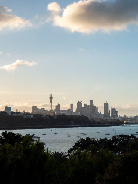 istock Central Auckland,  New Zealand 1454106480