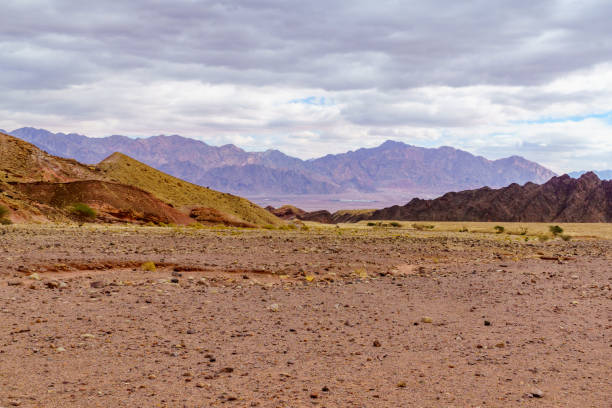 Arava desert valley landscape near the Shkhoret Canyon stock photo