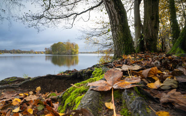 istock Unterbach lake, Dusseldorf, Germany 1454110760
