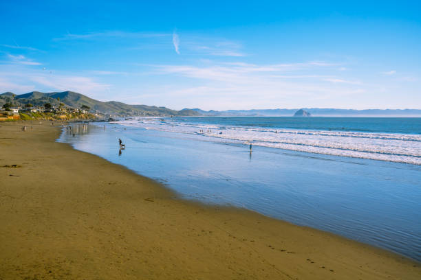 istock Cayucos beach on California's central coast. 1454116164