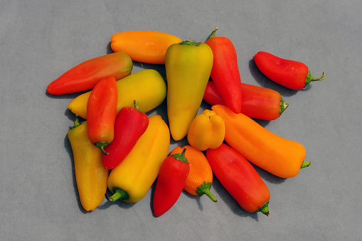 Colorful pile of sweet mini peppers