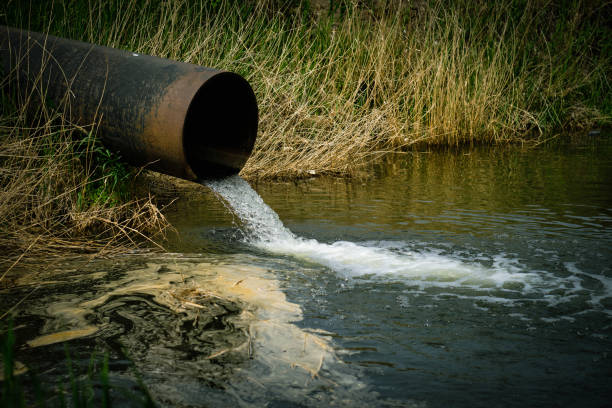 istock Draining sewage from pipe into river, pollution rivers and ecology. 1454118652