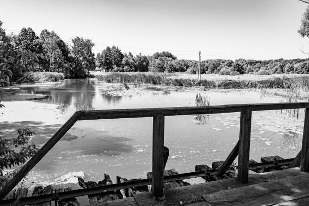 Free Stock Photo of River and Bridge in Black and White | Download Free ...