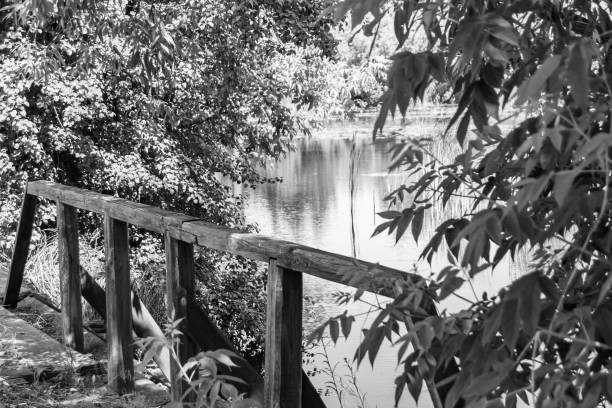 Beautifully standing old wooden bridge over river in light background close up, photography consisting of old wooden bridge above river in foliage, old wooden bridge at river for natural wild park