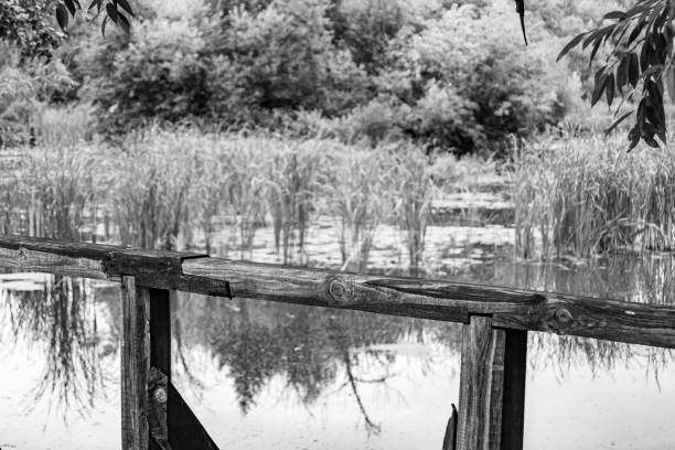 Beautifully standing old wooden bridge over river in light background close up, photography consisting of old wooden bridge above river in foliage, old wooden bridge at river for natural wild park