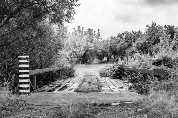 Beautifully standing old wooden bridge over river in light background close up, photography consisting of old wooden bridge above river in foliage, old wooden bridge at river for natural wild park