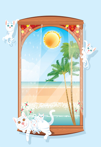 Window on the beach and cute cats