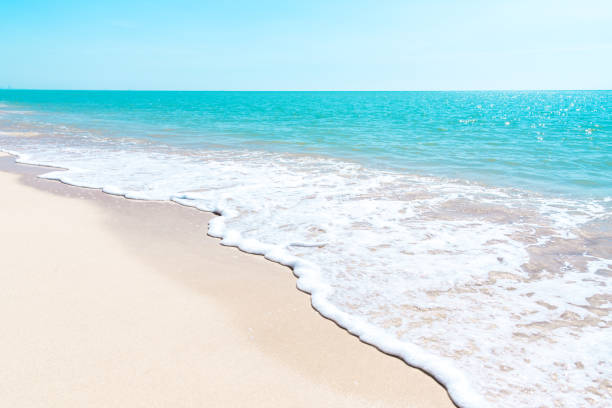 istock Beach and blue sea on a clear day 1454120612
