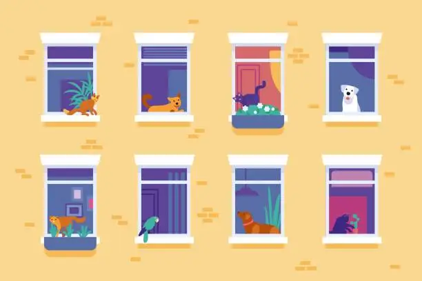 Vector illustration of Pets in windows of house. Residential building facade. Cat or dog sitting on the windowsill. Parrot inside room and looking outside. Domestic animals. City architecture. Vector concept