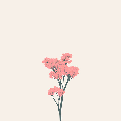 An illustration of a pink flowering tree isolated on a beige background