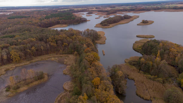 istock Top view of a lake with trees 1454126190