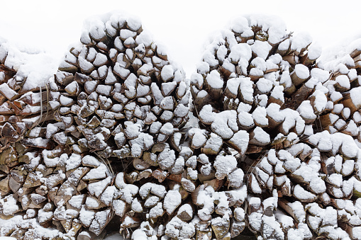 background of dry chopped firewood covered by snow and ice