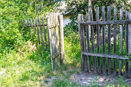 Beautiful old gate from abandoned house in village on natural background, photography consisting of old gate for house to village, old gate out village house at wild natural big light foliage close up