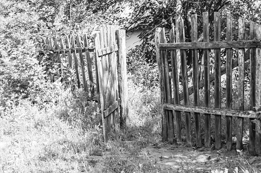 Homestead fence remains on ranch land in northern Montana in northwest USA.