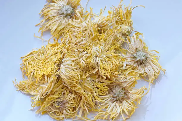 Photo of Dried Chrysanthemum morifolium flowers on white background