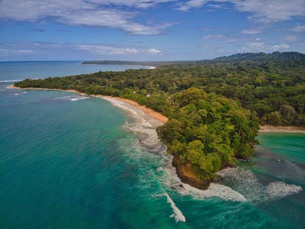 istock Punta Uva Manzanillo Costa Rica 1454129264