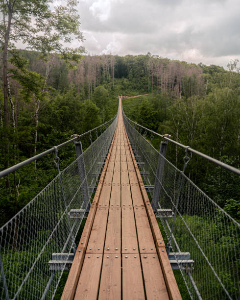 istock Symmetric shot of a bridge in a forest 1454129464