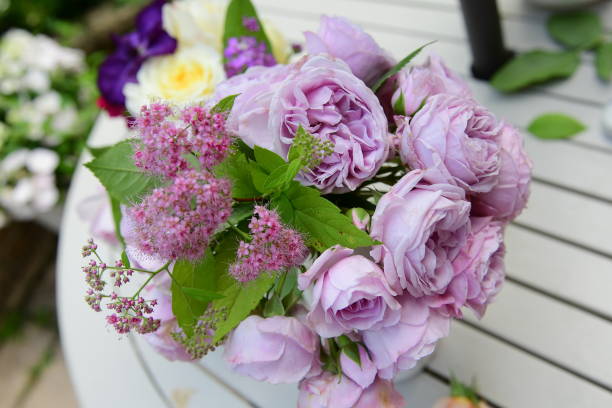 優雅な紫色のバラの接写 - cut flowers rose purple flower arrangement ストックフォトと画像