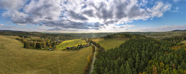 istock Panorama view of a beautiful forest on a sunny day 1454131356