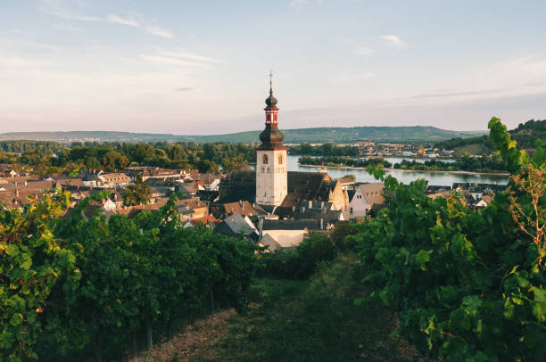 istock Evening at the Rhine in Germany 1454131560