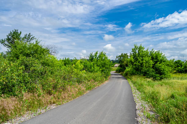 istock Beautiful empty asphalt road in countryside on colored background 1454132452
