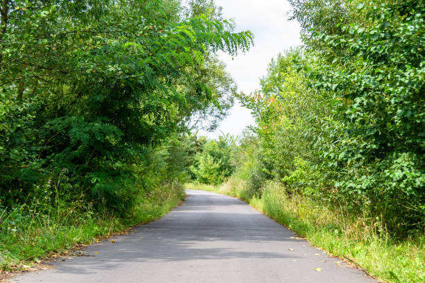 istock Beautiful empty asphalt road in countryside on colored background 1454133320