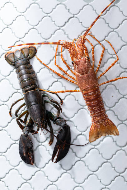 istock Top view of raw uncooked lobster and red crayfish on a kitchen table 1454137815