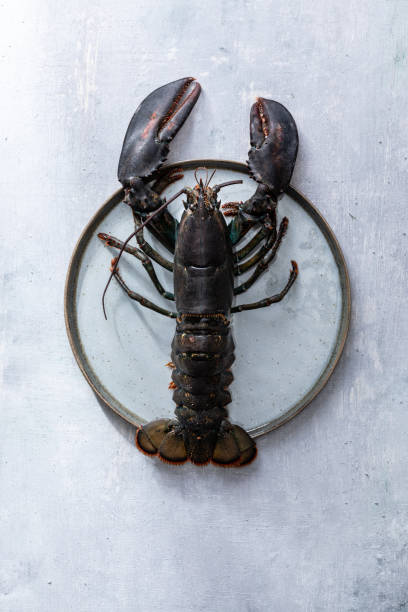 istock Top view of raw uncooked lobster on a kitchen table 1454137820