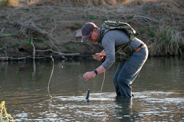 istock Fisherman catching fish in the river 1454139519