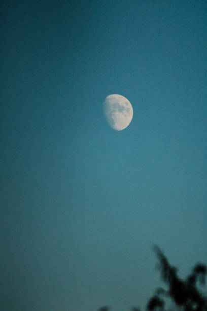 istock Waxing gibbous on a blue sky in the evening 1454139522