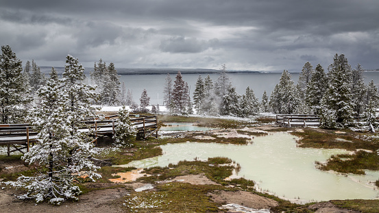 The West Thumb Geyser Basin, including Potts Basin on the shores of Yellowstone Lake, USA