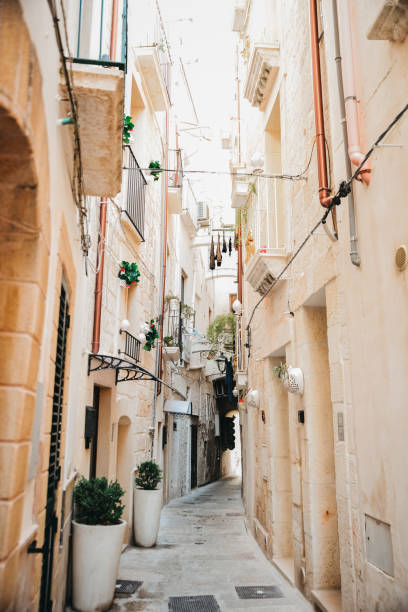 istock Narrow alley between old buildings 1454140094