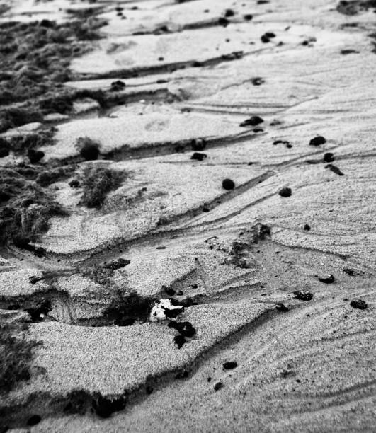istock Vertical grayscale shot of a bumpy field with bushes 1454141246
