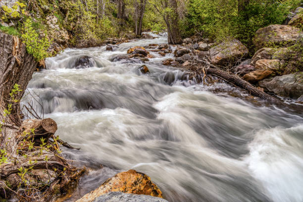 istock Beautiful flowing river with stones in a park 1454141331
