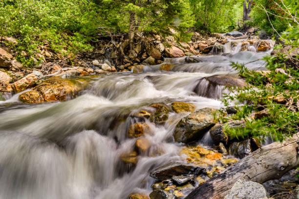 istock Beautiful flowing river with stones in a park 1454141339
